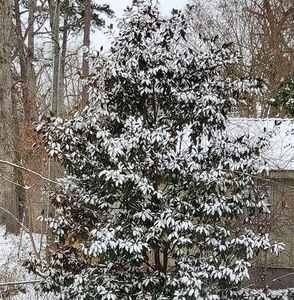 Meet your Posher, Betty jo